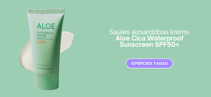 Holika Holika NEW aloe & CICA sunscreen